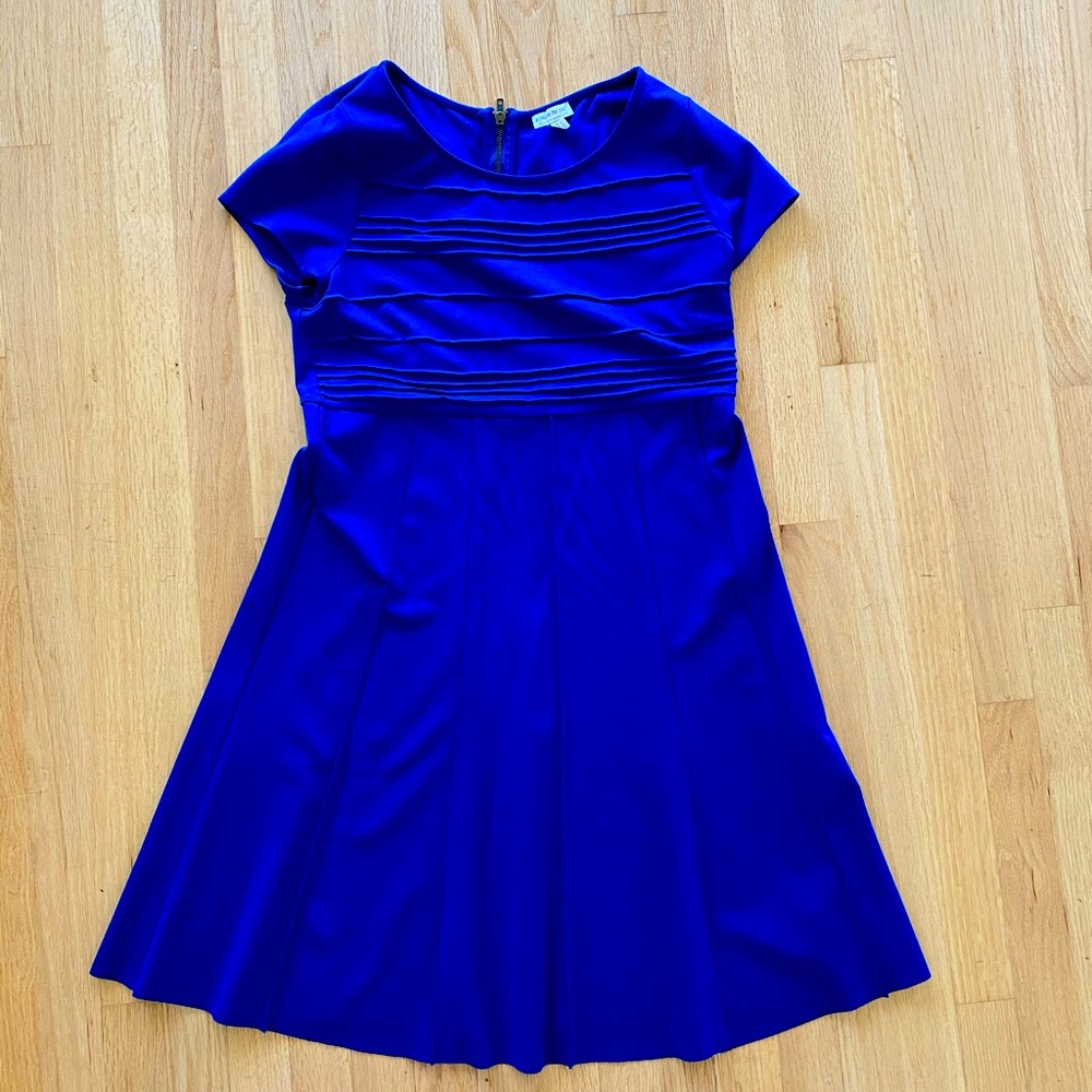 Pea in the Pod Maternity Dress
